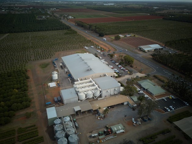 Marqius Group's macadamias factory.