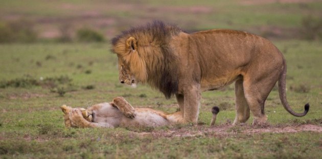 Have a Headache. &copy; Maureen Toft.