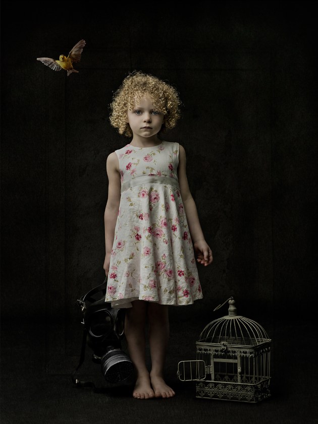 &copy; Steve Wise