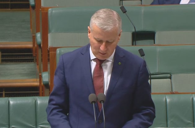 The Deputy Prime Minister speaks in the House of Representatives this morning. (still from APH live feed)