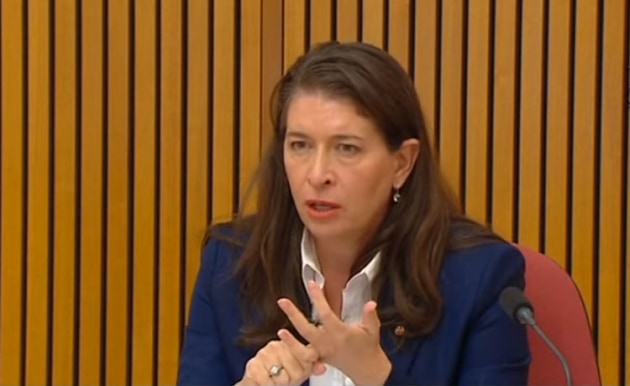 Senator Susan McDonald makes a point at the RRAT senate estimates hearing on 14 February 2021. (still from Parliament House feed)