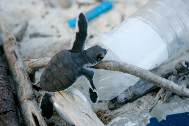 Image: ReSource: Plastic, WWF