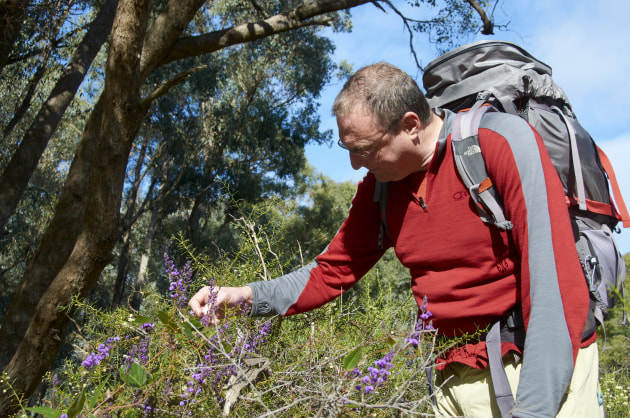 Simon checks out the wildflowers along the Coliban Main Channel. M Ball