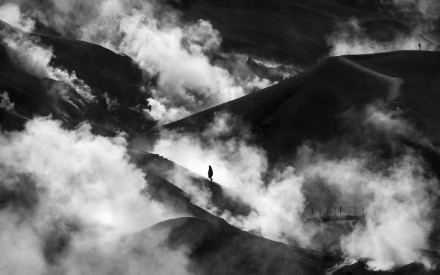 Mieke Boynton &ndash; Nature / Landscape