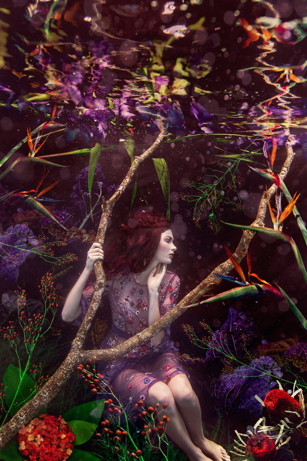&copy; Beth Mitchell. Winner, Editorial/Fashion. Australasia's Top Emerging Photographers 2018.