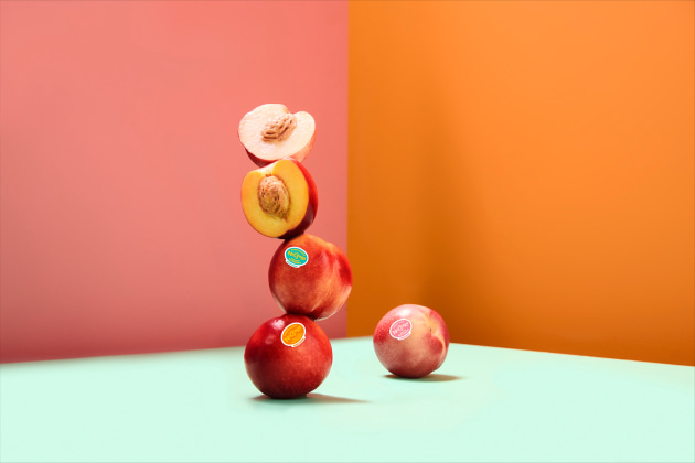 Montague Farms is ready for stone fruit season, gearing up for what promises to be a record-breaking year, as it is set to grow and pack over 7 million kilograms of premium stone fruit this season.
Source: Montague Farms