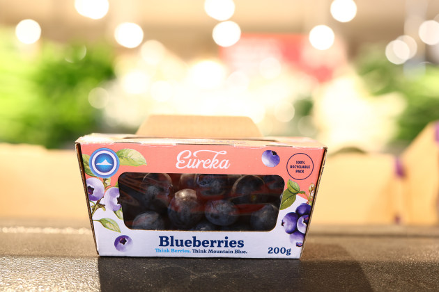 Mountain Blue Blueberries Paper-based Produce Punnet: Mountain Blue and Opal