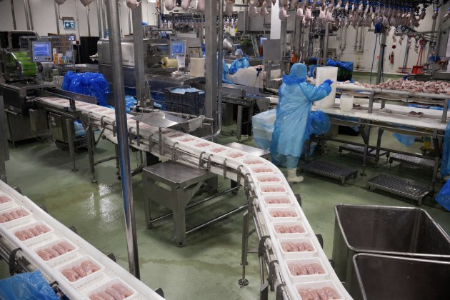 Mt Barker is processing seven days a week and producing fresh product every day. Packaging reliability is paramount.