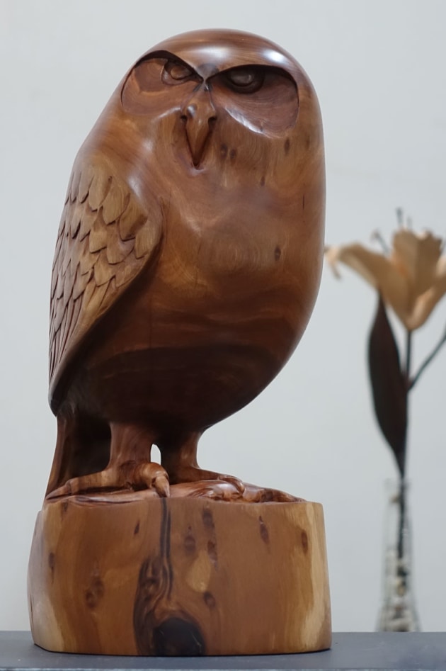 Highly commended: Murray Douglas, Southern Boobook, budgeroo. "My idea was that the skink under the talons is hoping if it stays still the owl won't know it's there or will see something better to eat. The budgeroo was salvaged from a branch from a tree cut on a fence line. This rare and beautiful timber grows in the sandstone ranges of Queensland and was once used for fence and yard posts, although it is way too valuable for that. Hopefully going forward it will be selectively harvested for carving and high quality furniture. The harsh conditions and poor soil in which it grows make it slow growing and give it a very attractive grain. The native ebony for the skinks eye was from a dead branch found on our property."