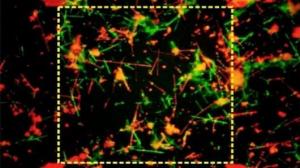 Korean researchers have developed nanowire 'fingerprints' to authenticate products.