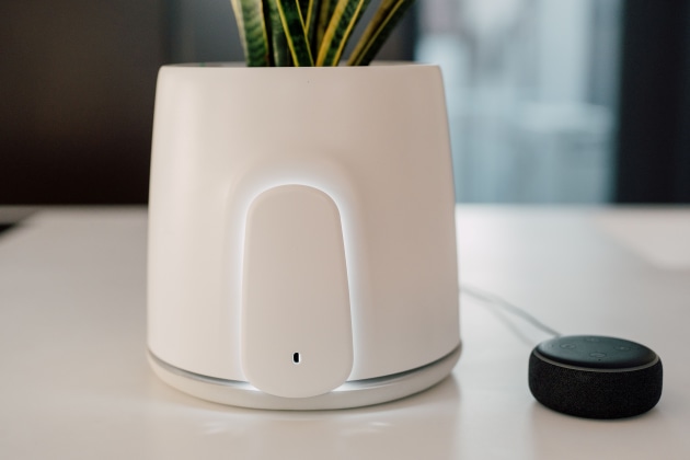 Natede Smart relies on plants, not filters.