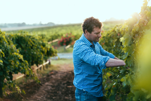 Richard Angove, managing director of Angove Family Winemakers