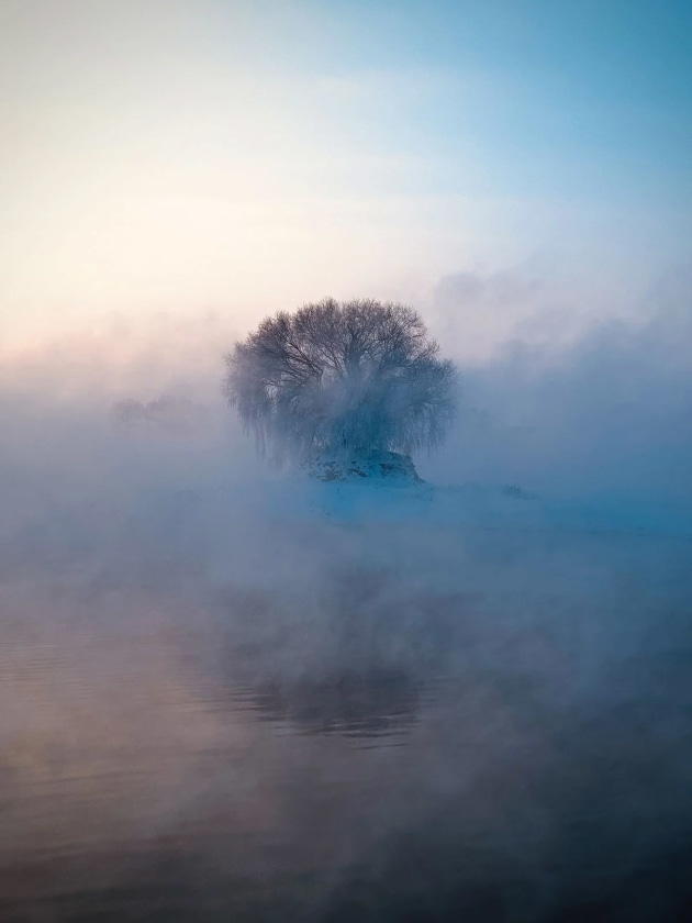 Nature Winner — Tianjiao Zhang (China) | 2026 iPhone Photography Awards