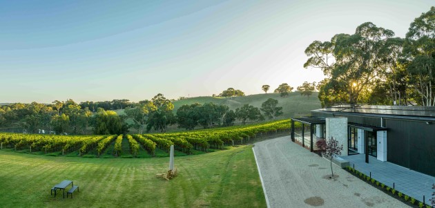 Australian Vintage is now B Corp certified. The Nepenthe Cellar Door.