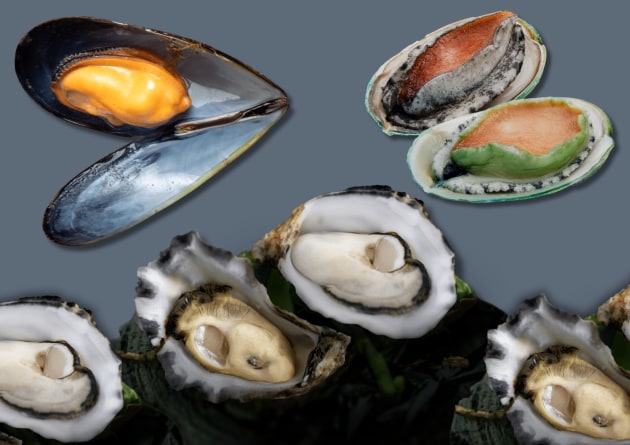 Leading producer of abalone, mussels, and oysters, Yumbah Aquaculture, has become the first oyster producer in Australia to earn Best Aquaculture Practices (BAP) certification &ndash; a globally recognised gold standard for sustainable and responsible seafood production.
Source: Yumbah Aquaculture