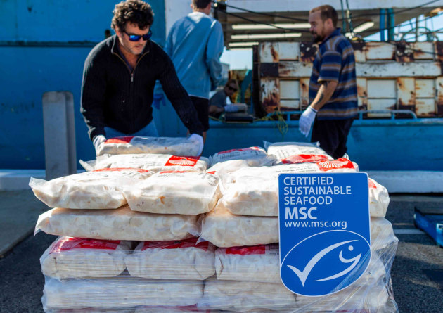 Sea Change Australia, funded by the federal government&rsquo;s Fisheries Research and Development Corporation, is working to build climate resilient fisheries &ndash; currently focusing on Western Australian scallops.
Source: Government of Western Australia