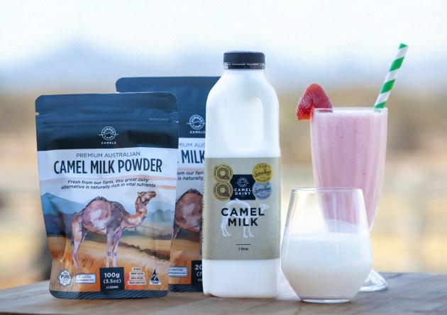 Dairy goods producer, Summer Land Camels, is gearing up to expand into the US health and wellness market, supported by a crowdfunding campaign conducted via OnMarket.
Source: Summer Land Camels