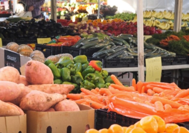 The federal government is conducting a review of the Horticulture Code of Conduct, following several difficult years for farmers and growers, with rapidly rising levels of dissatisfaction.
Source: DAFF