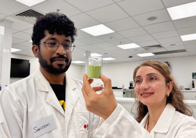 New research from RMIT University suggests an Australian desert plant could help food manufacturers improve protein quality and reduce reliance on added salt in staple foods. Pictured are Samiddhi Gunathilake and Dr Mahsa Majzoobi with a beaker of saltbush powder.
Source: RMIT University