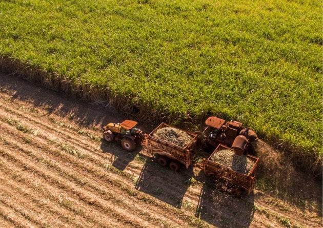 The Queensland government has launched its $30 million Sowing the Seeds of Farming Innovation Fund (SSFIF), designed to accelerate agricultural innovation, adoption and productivity across the state&rsquo;s primary industries.
Source: QIC