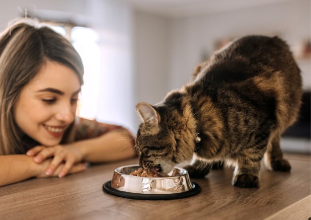 Mars Petcare has opened applications for its  Next Generation Pet Food Program with Big Idea Ventures &ndash; in collaboration with industry leaders AAK, B&uuml;hler, Givaudan, and Ingredion
Source: Mars