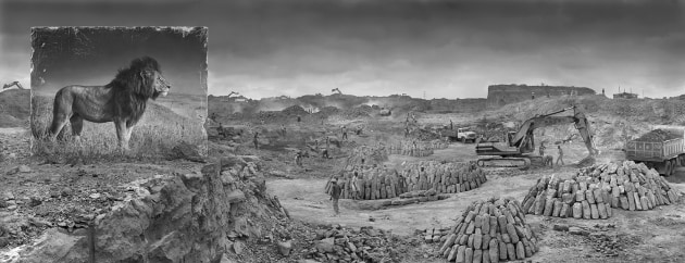 &copy; Nick Brandt. Quarry with lion, Kenya, 2014. In Inherit the Dust (2016), unreleased portraits of animals that had taken over prior years were printed life-size on panels and placed in locations where animals such as these used to roam but, as a result of human impact, no longer do. 
38 x 98 inches on 44 x 104 inch paper. From an edition of 15.