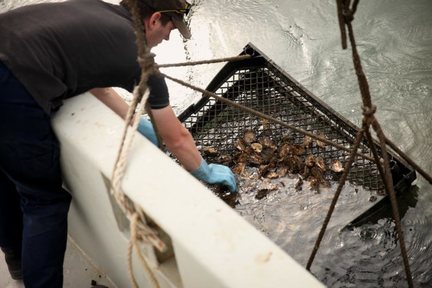 Oceanfarmr says it can help those in the aquaculture industry overcome capital barriers. Image: Oceanfarmr