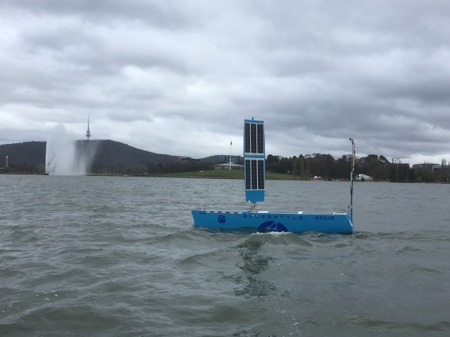 Bob the Bluebottle on Lake Burley Griffin. Credit: Ocius