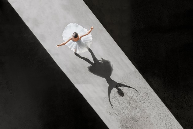 &copy; Brad Walls. Ombre deux.