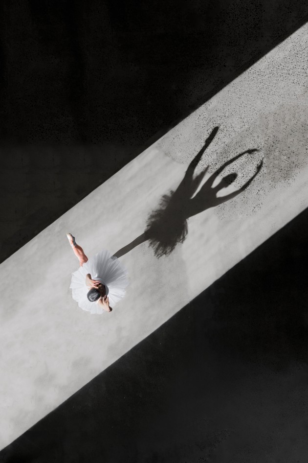 &copy; Brad Walls. Ombre trois.