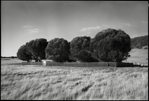 Image: Ricky Maynard: The Healing Garden, Wybalenna, Flinders Island, Tasmania, from the series Portrait of a Distant Land.