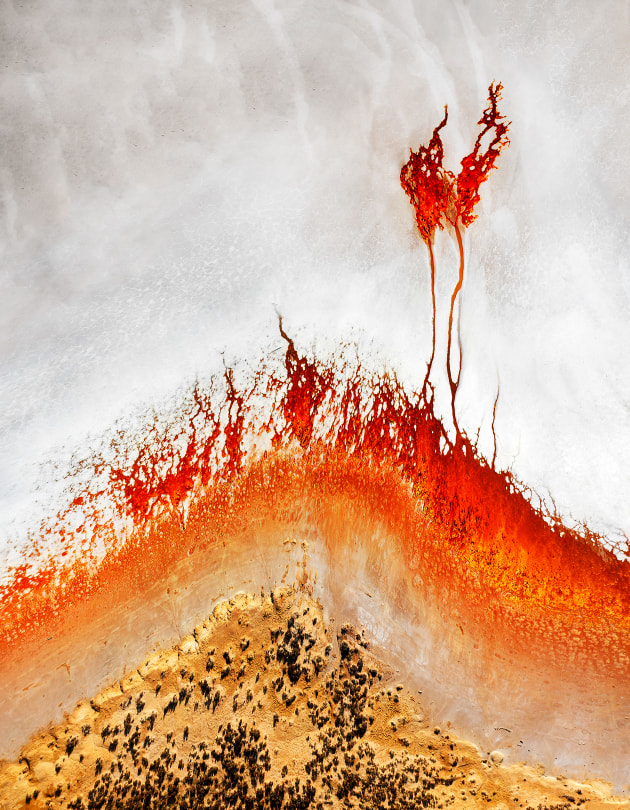 &copy; Suzanne Nelson. Runner-up, Open &ndash; Australasia's Top Emerging Photographers 2022.