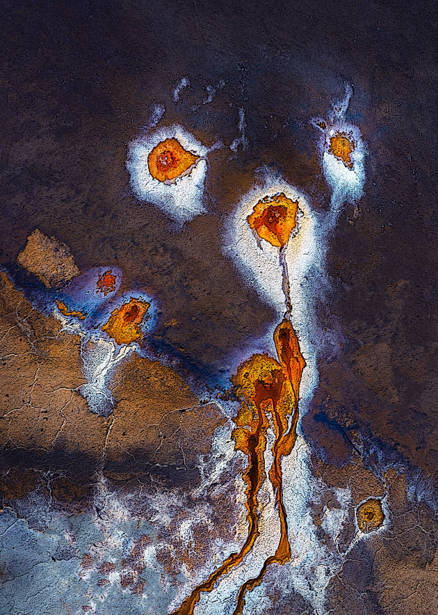 &copy; Suzanne Nelson. Runner-up, Open &ndash; Australasia's Top Emerging Photographers 2022.