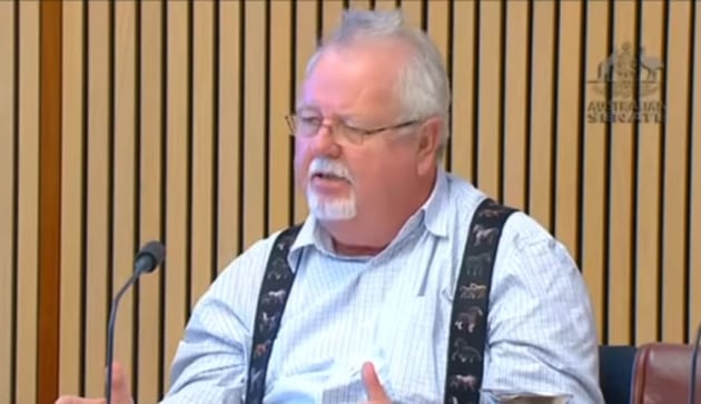 Senator Barry O'Sullivan, Chair of the RRAT Legislation Committee. (still from APH feed.)
