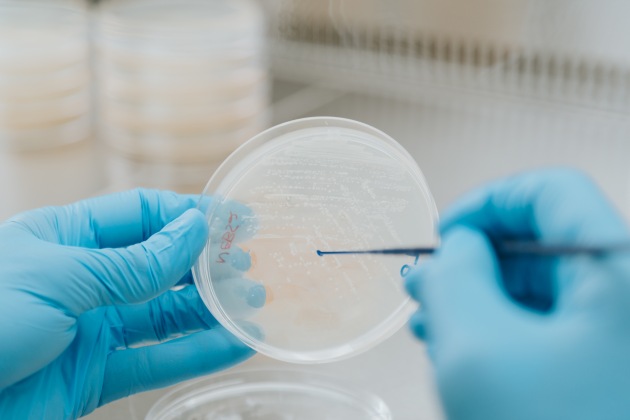 All G Foods says its successful Series A funding round will accelerate the production of its next-generation milk using precision fermentation, and plant-based alternative technologies.
(Image supplied: All G Foods)