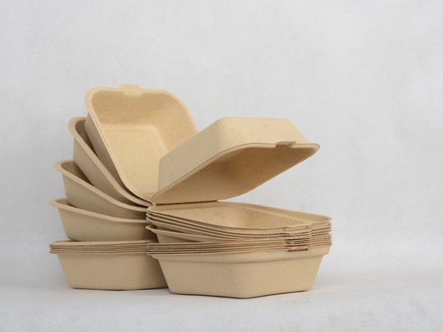 Papyrus&rsquo; technology converts banana plantation waste into a refined fibre that can be used to produce a range of environmentally friendly, commercially viable moulded food packaging products including trays, plates, cup holders, egg cartons and clam shells. Image: Papyrus Australia