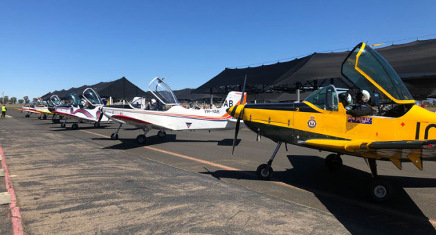 A selection of the many liveries that CT4s have carried into the sky.