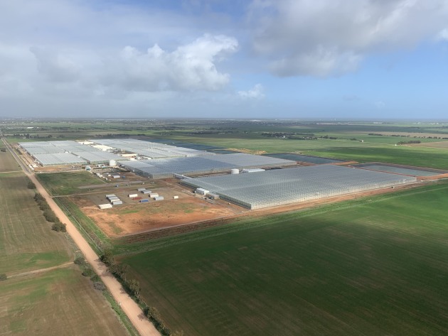 Perfection Fresh Two Wells glasshouse aerial