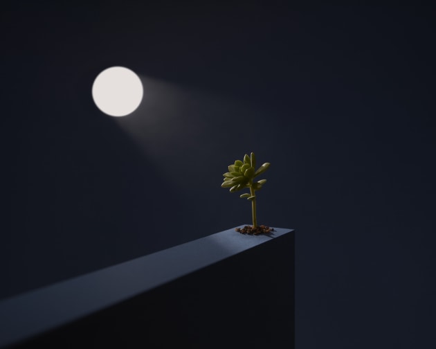&copy; Danny Eastwood