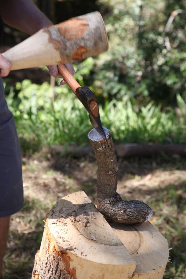 Wood under work, using fresh cut camphor blocks and camphor mallets.