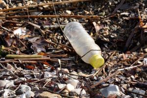 Lord Mayor Clover Moore wants to see the container deposit scheme underway in NSW.