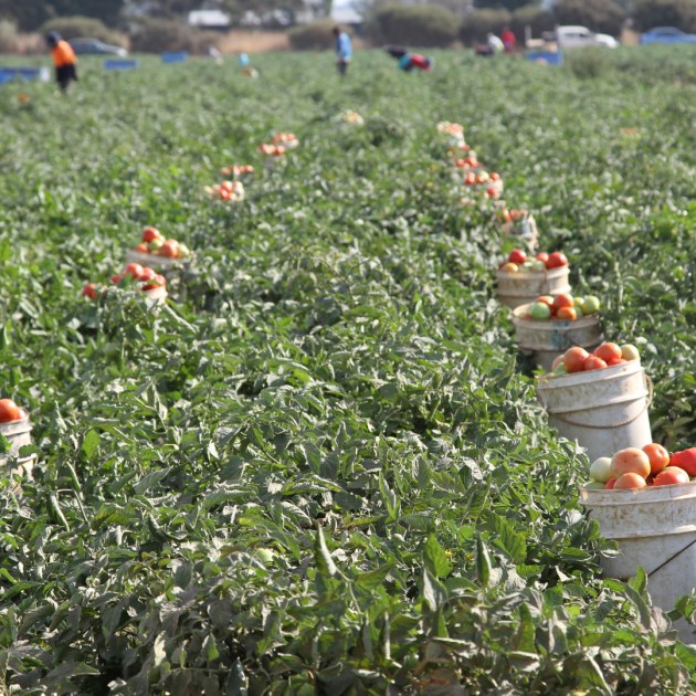 Premier Fresh Australia (Source: company website)