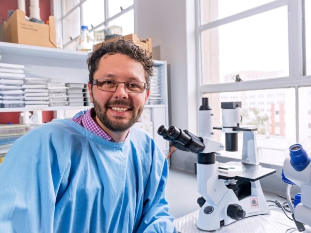 Professor Mark Hutchinson