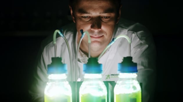 Provectus Algae founder and CEO Nusqe Spanton.