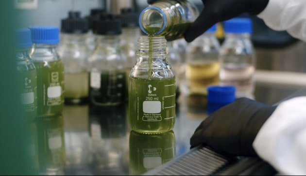 Australian biotech firm Provectus Algae says an investment from CJ BIO, the leading global supplier of fermentation-based bio-products, will accelerate its commercialisation efforts.