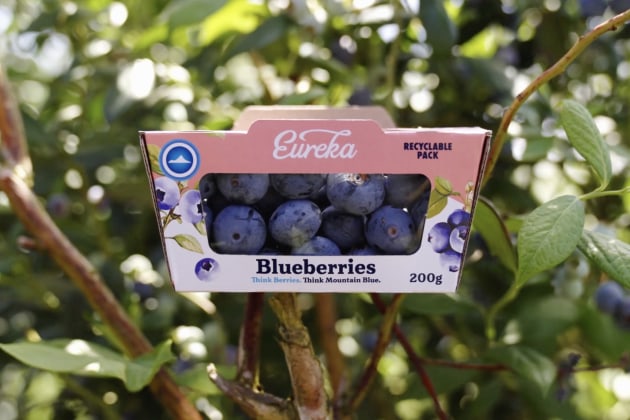 Opal's paper-based punnet is made from 100 per cent recycled
FSC-certified paper combined with a PEFC-certified cellulose window derived from wood pulp.