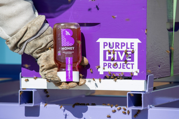 Bega Group launched their B honey brand to help support the local honey industry while teaming up with companies including Vimana Tech to develop the Purple Hive Project. Image: Bega