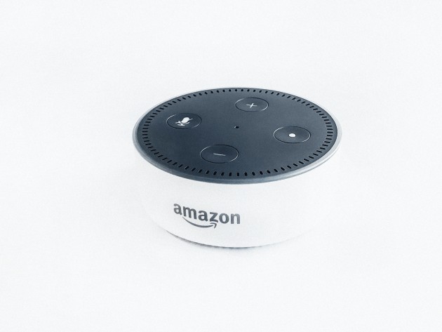 An Amazon voice-controlled device. Photo by Rahul Chakraborty on Unsplash.