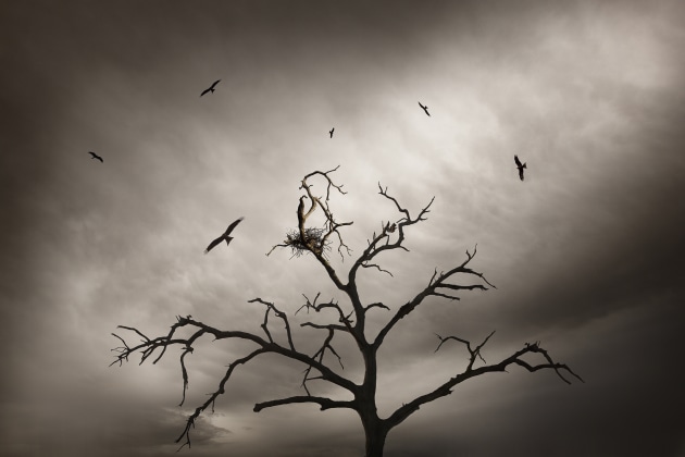 &copy; Ricardo Da Cunha