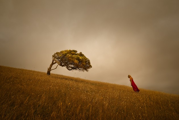 &copy; Ricardo Da Cunha